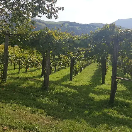 Ursula 3* Cambo-les-Bains