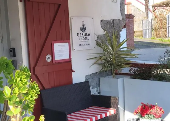 Ursula Hotel 3*