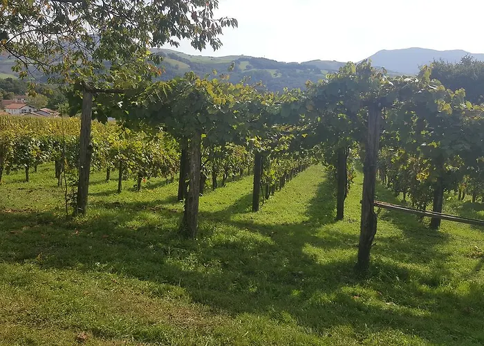 Ursula 3* Cambo-les-Bains